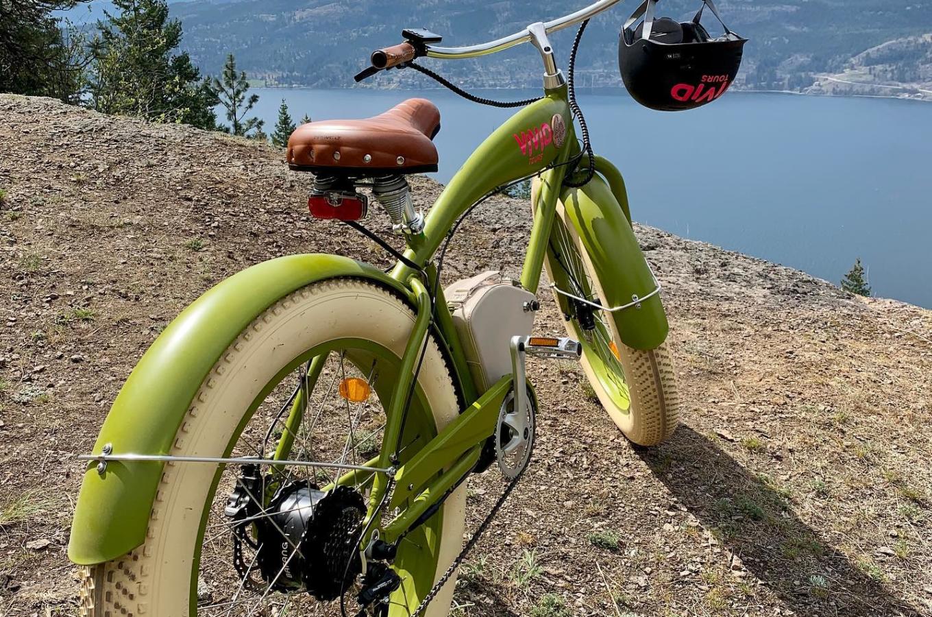 E-bike Image 1