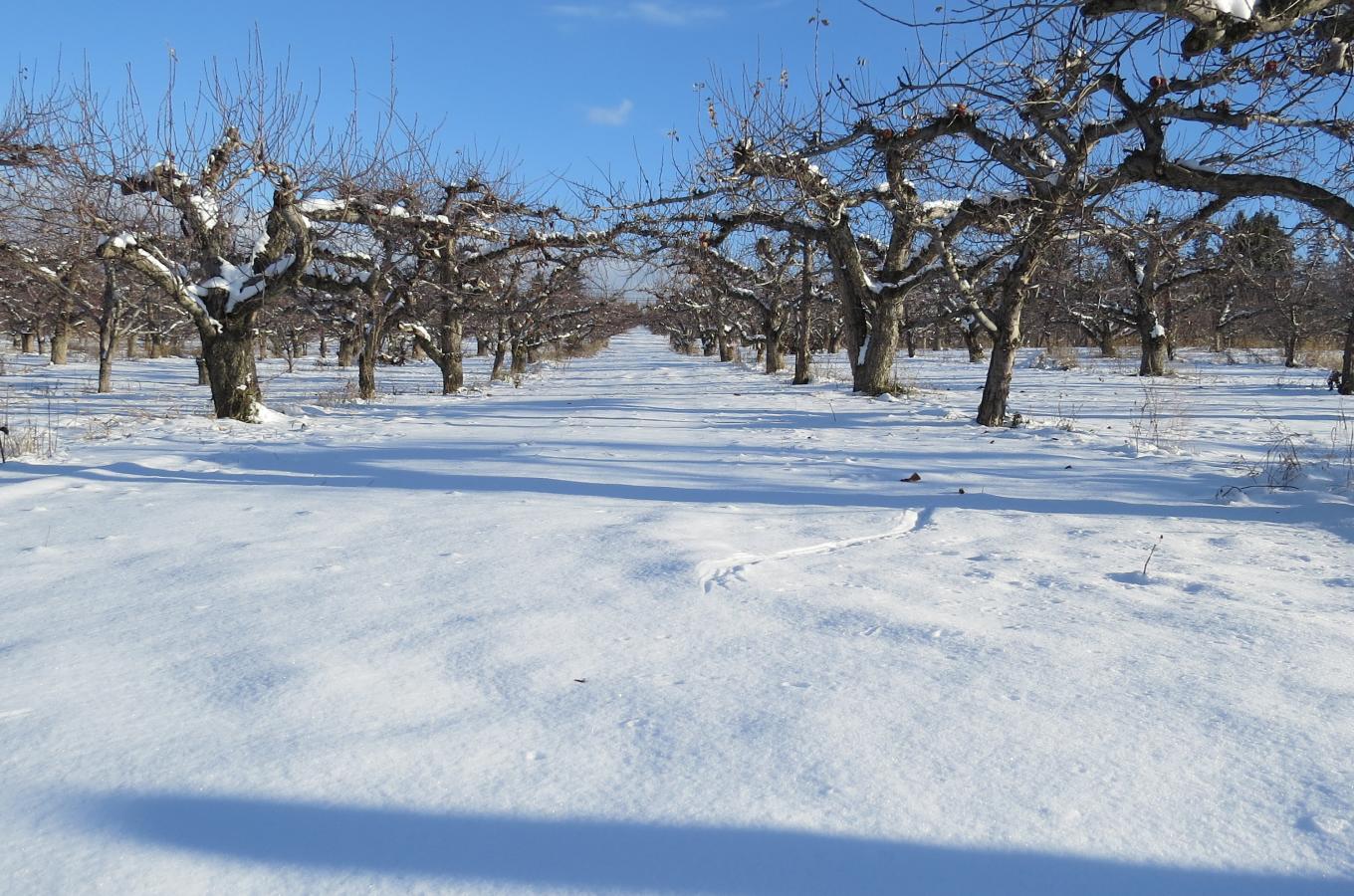 Winter 3