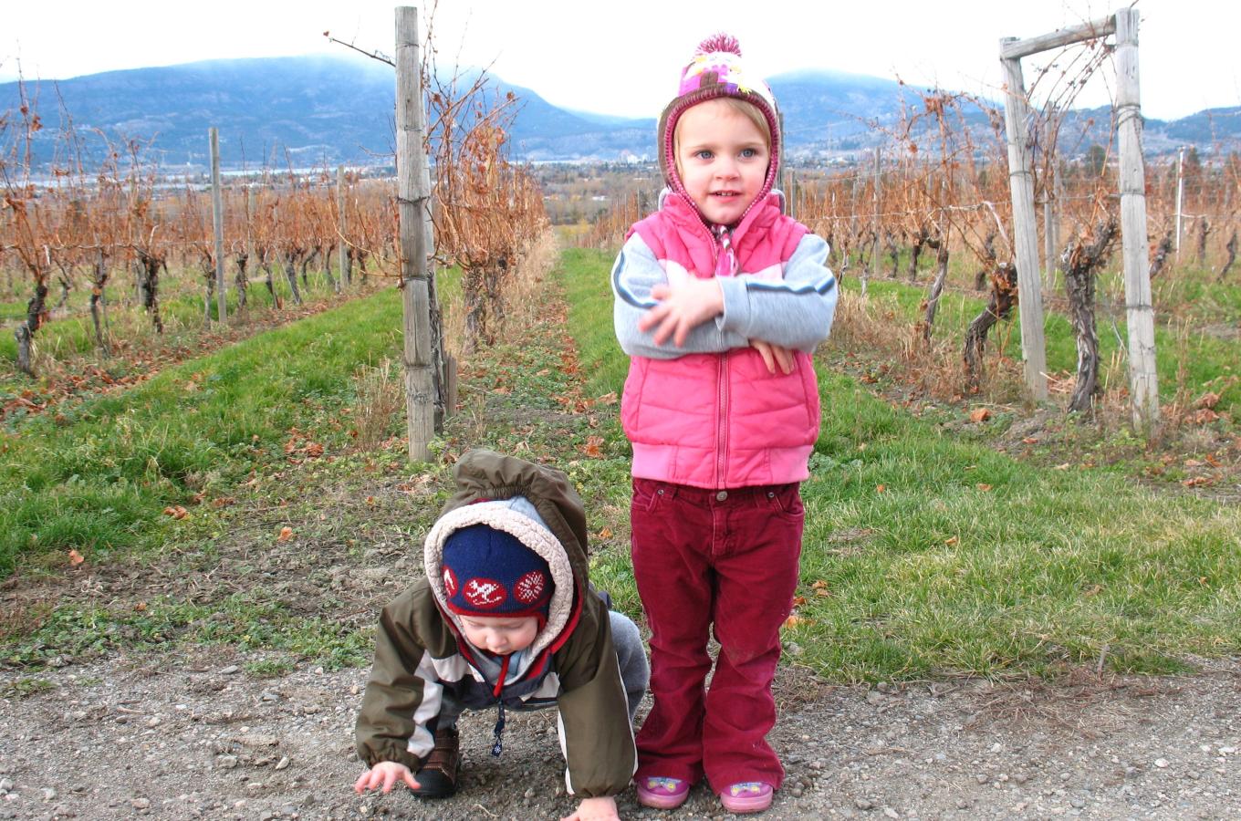 Children in vineyard