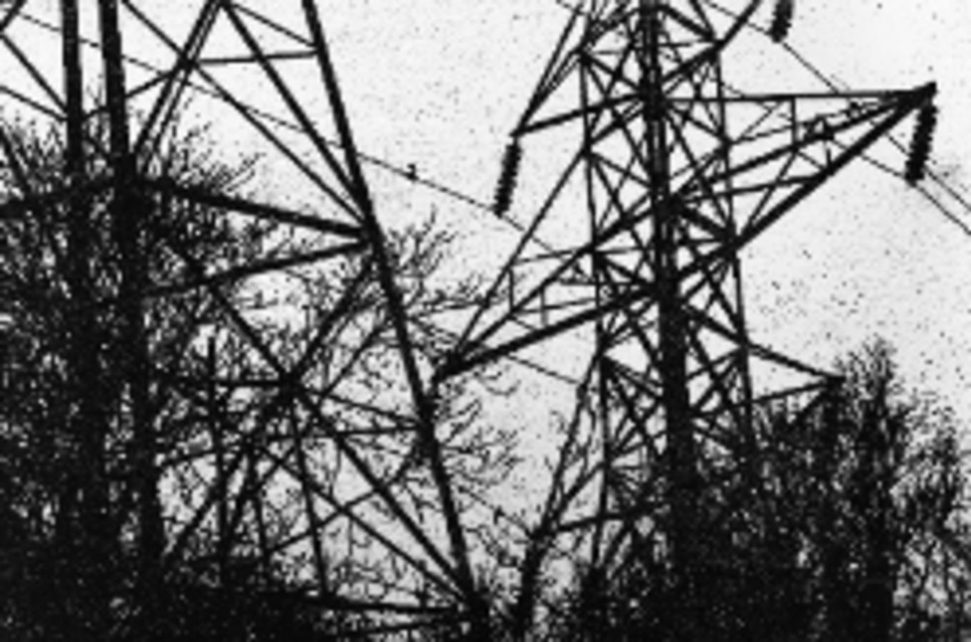 Texas King with Special Guests