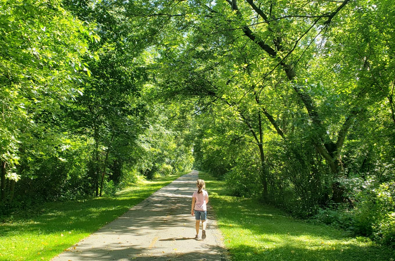 Bike Trail in Summer