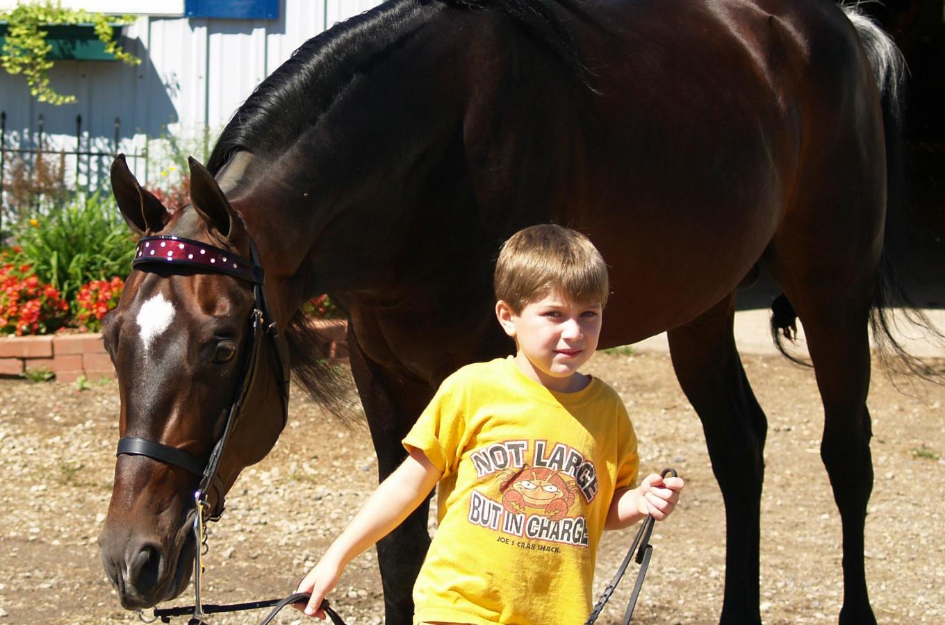 Applewood Farm Boy Leading Horse