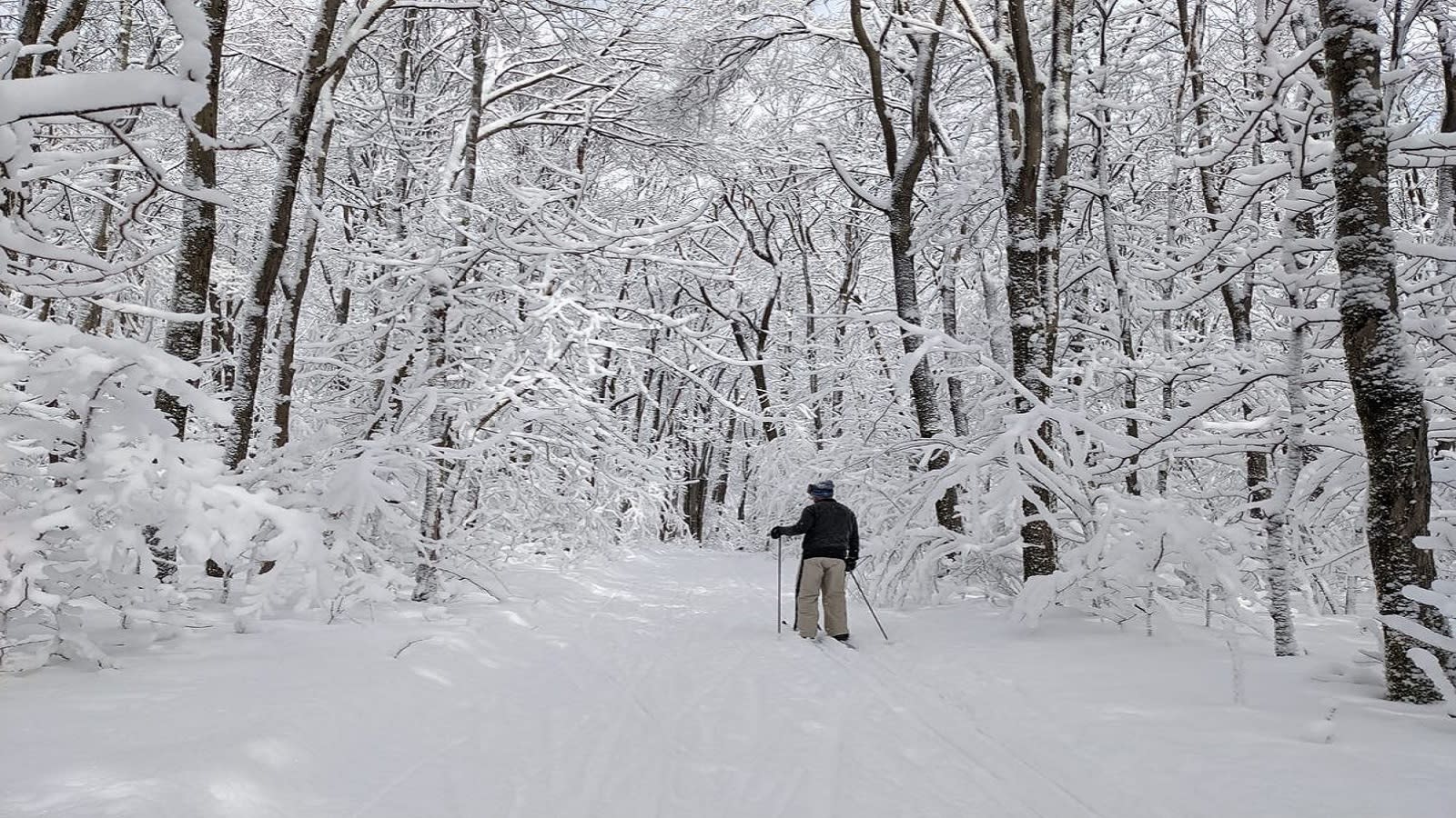 Get back to nature with cross country skiing in the Laurel Highlands