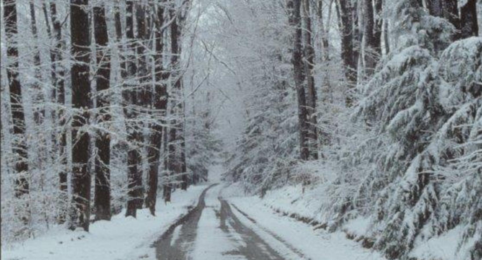 Winter Attractions Events
