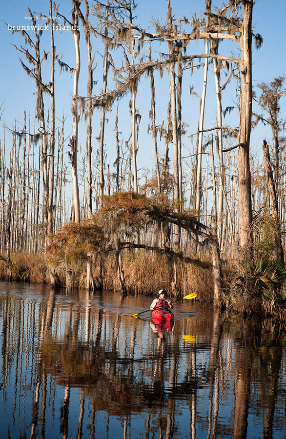a man kayaking down Town Creek outside of Leland