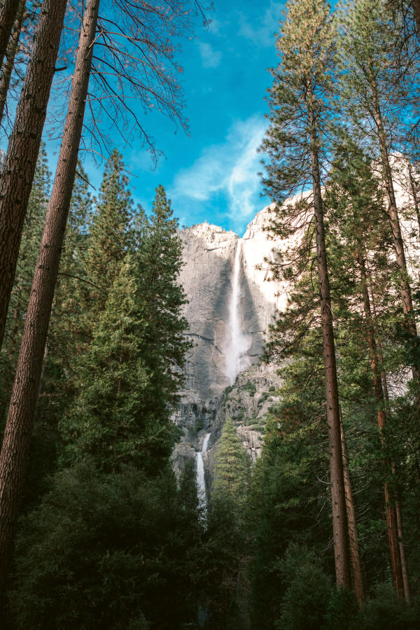 Lower Yosemite Fallsr