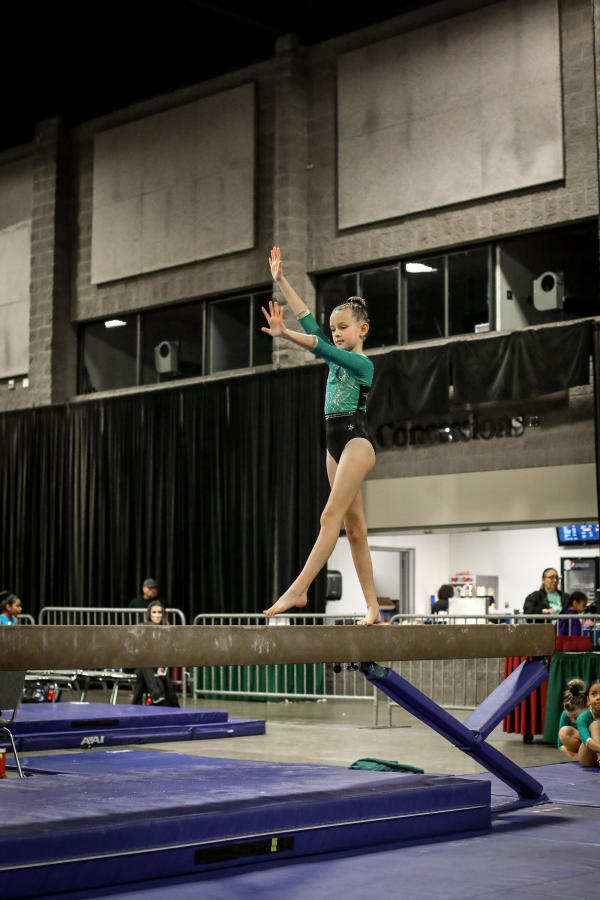 Fresno Gymnastics 2