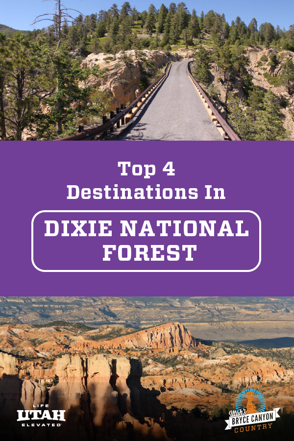 GREAT DESTINATIONS IN DIXIE NATIONAL FOREST PIN 2