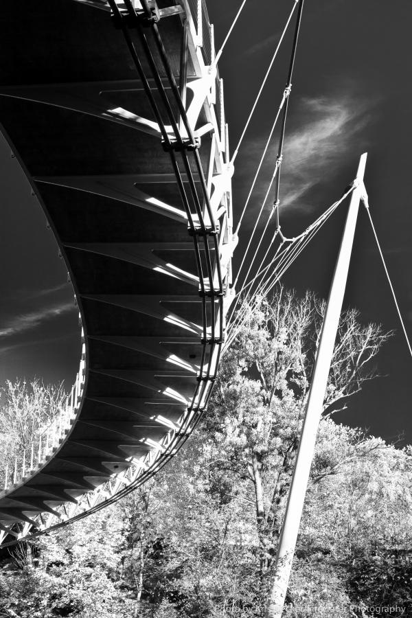 Liberty Bridge Black and White