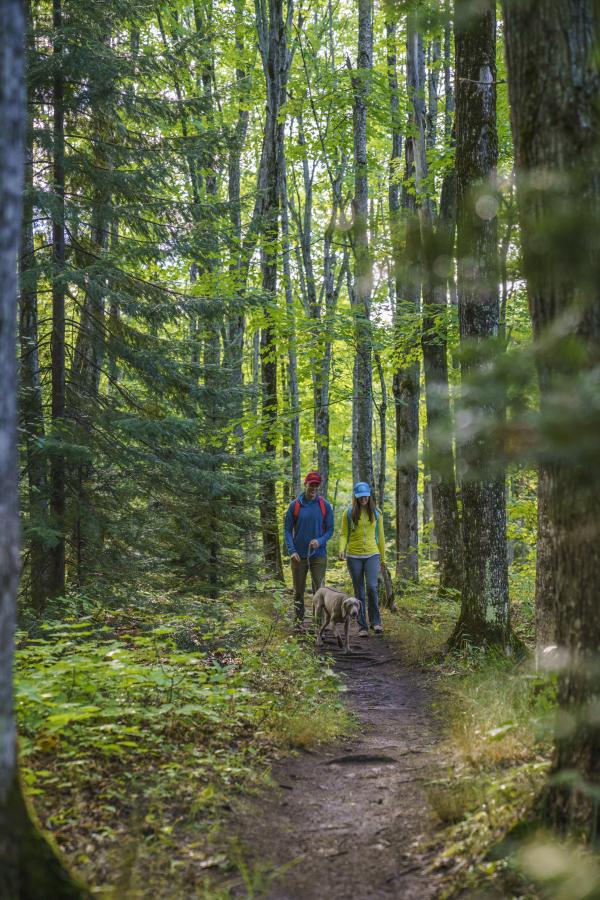 Hiking Trails