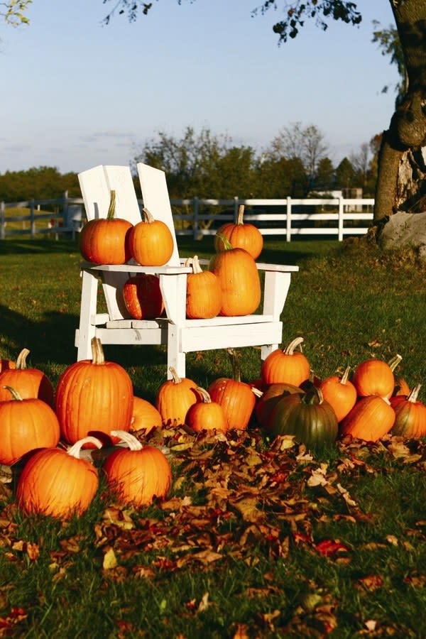Pumpkins & Chair