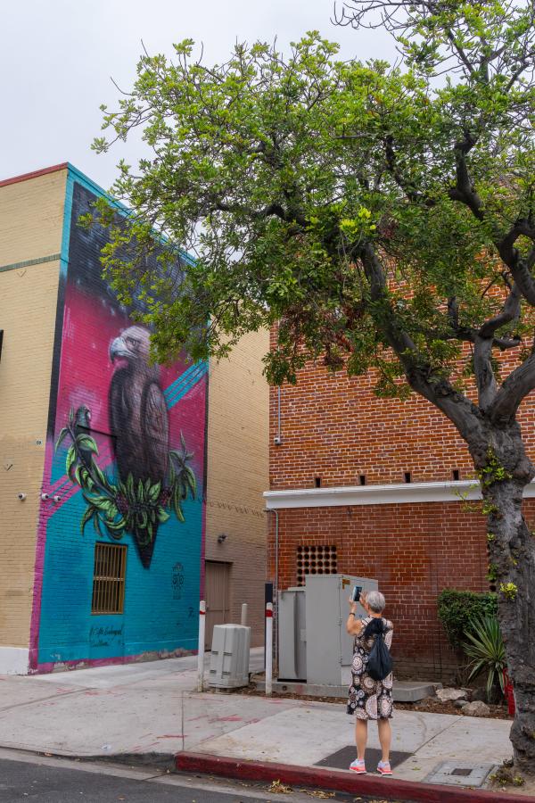 Visitor photographing colorful eagle mural in Downtown Santa Ana during public art tour
