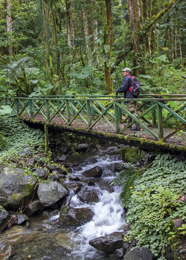 Sendero los Quetzales