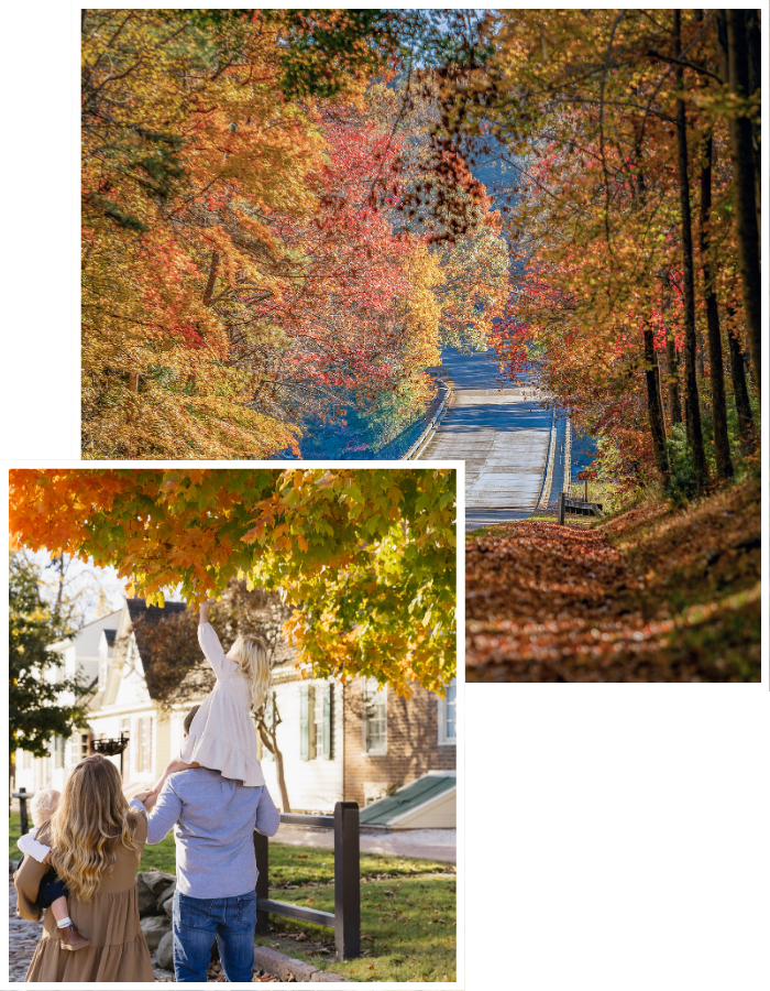 Two images stacked on top of each other. One is a family under a colorful fall tree and the other is of a road with leaves changing color.