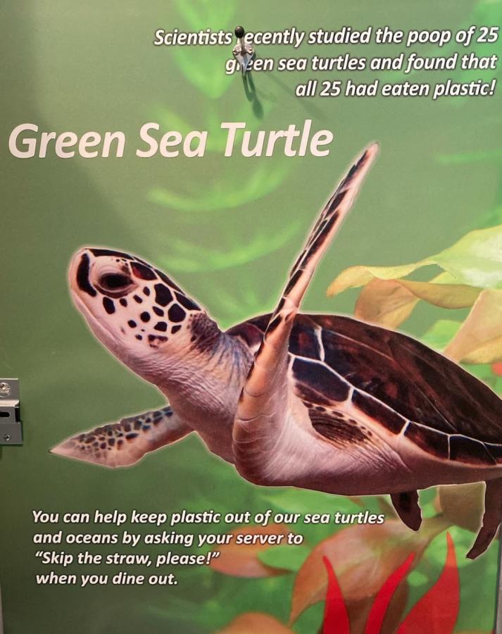 sea turtle sign sustainability straw