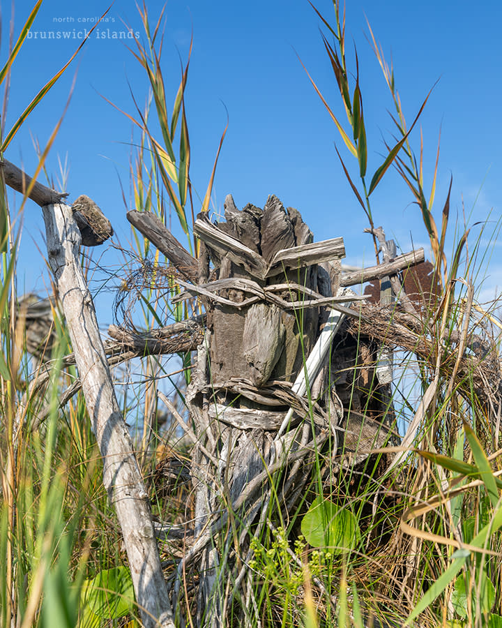 a human looking wooden sculpture among beach grasses on Oak Island, NC