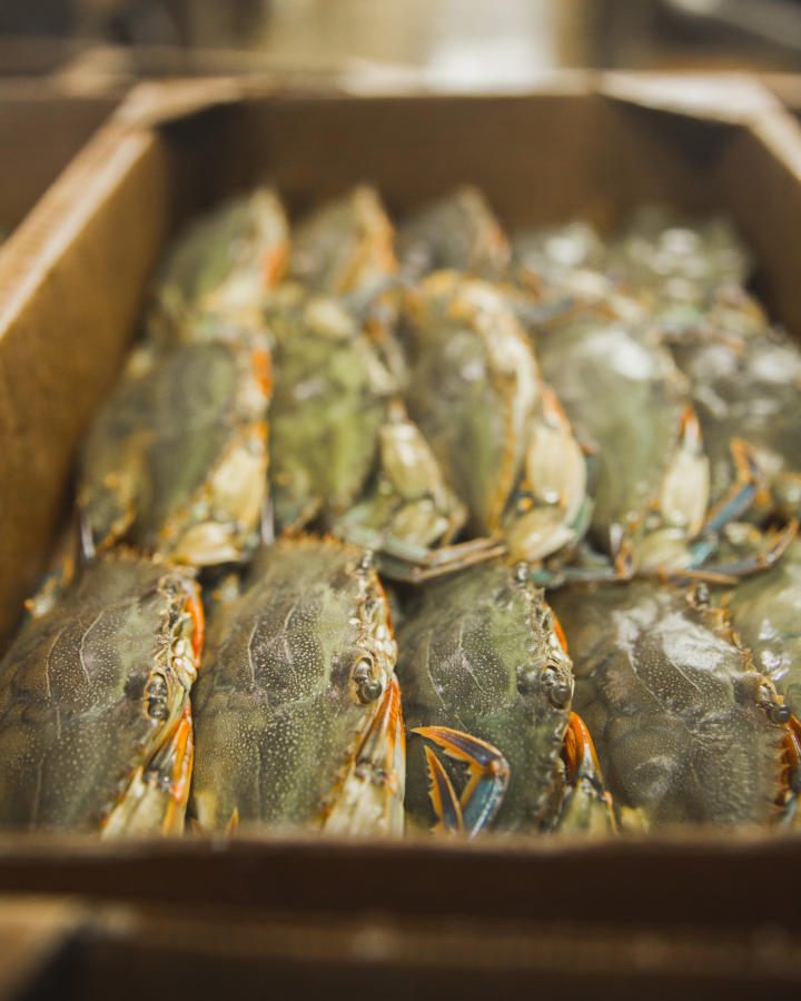 oneals seafood harvest - crab