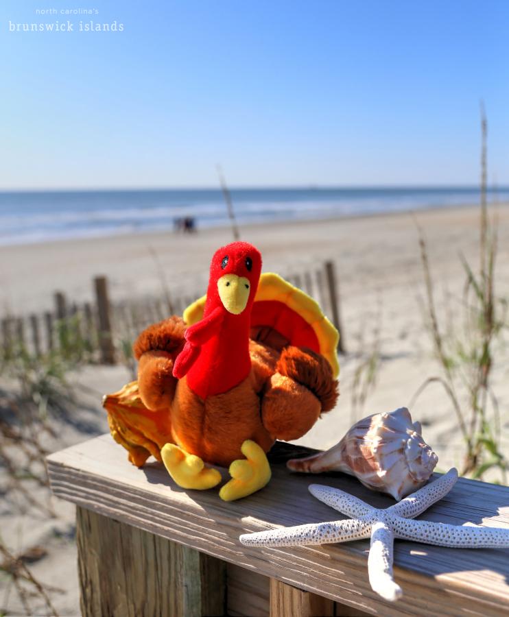Plan Your NC's Brunswick Islands Thanksgiving Dinner