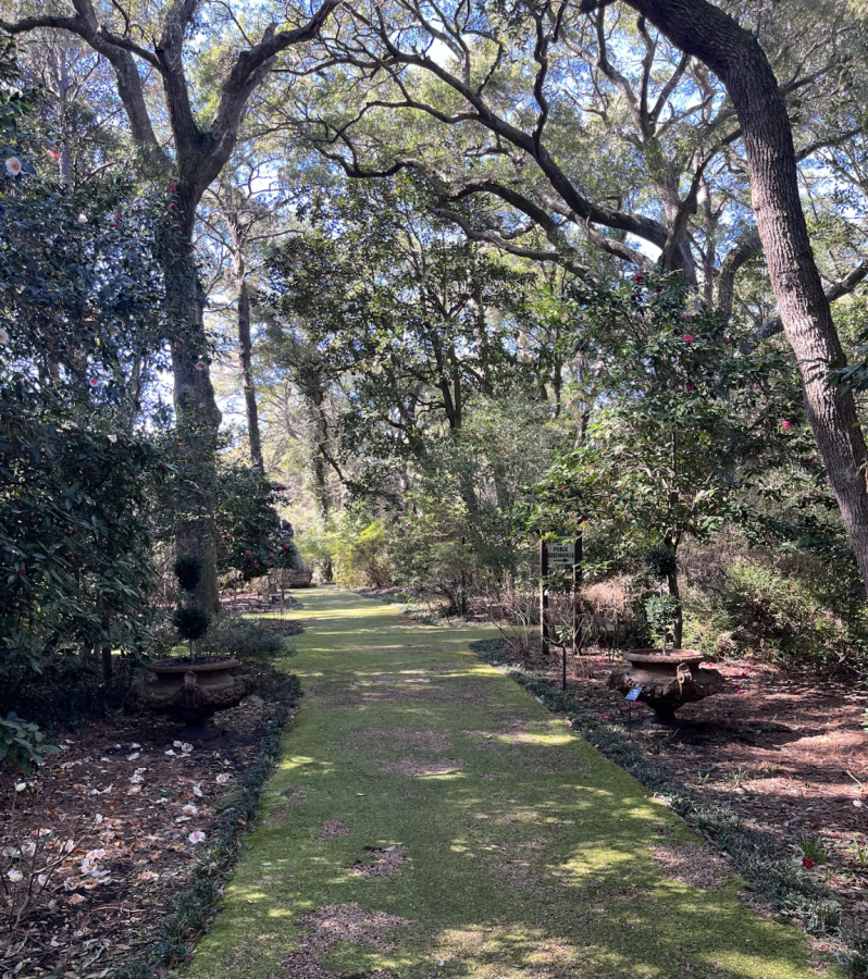 Elizabethan Gardens Photo by Vanessa Infanzon