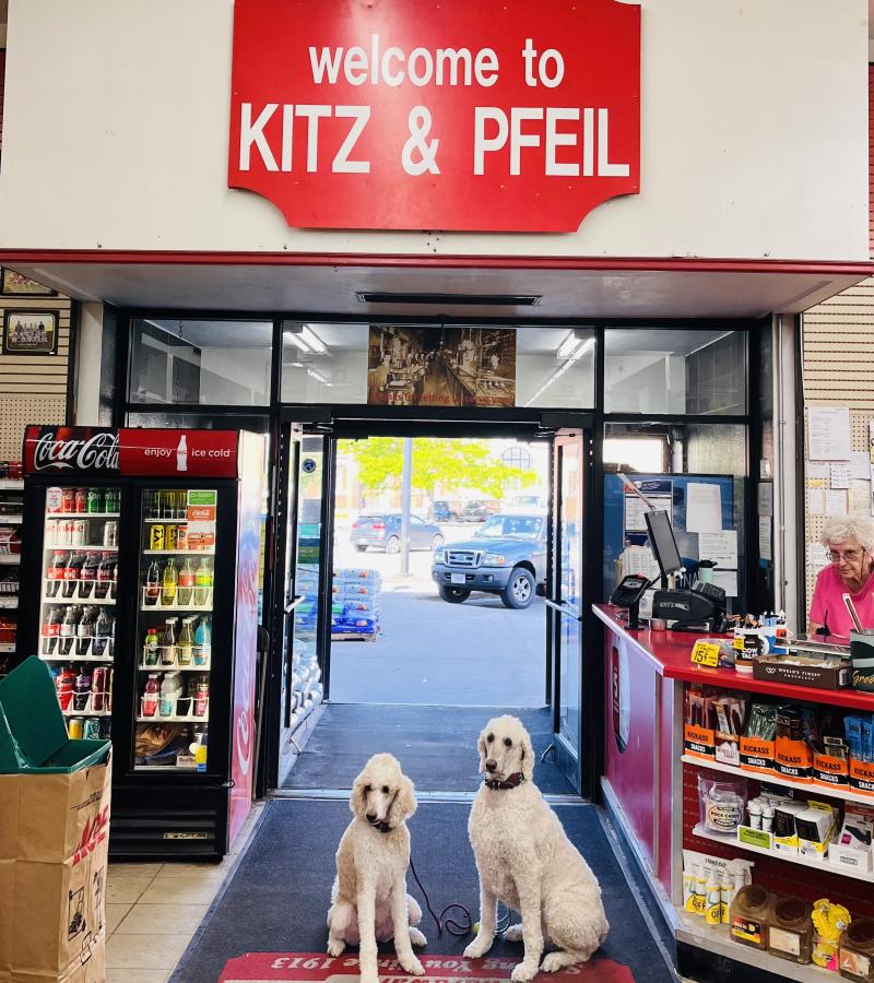 Kitz & Pfeil