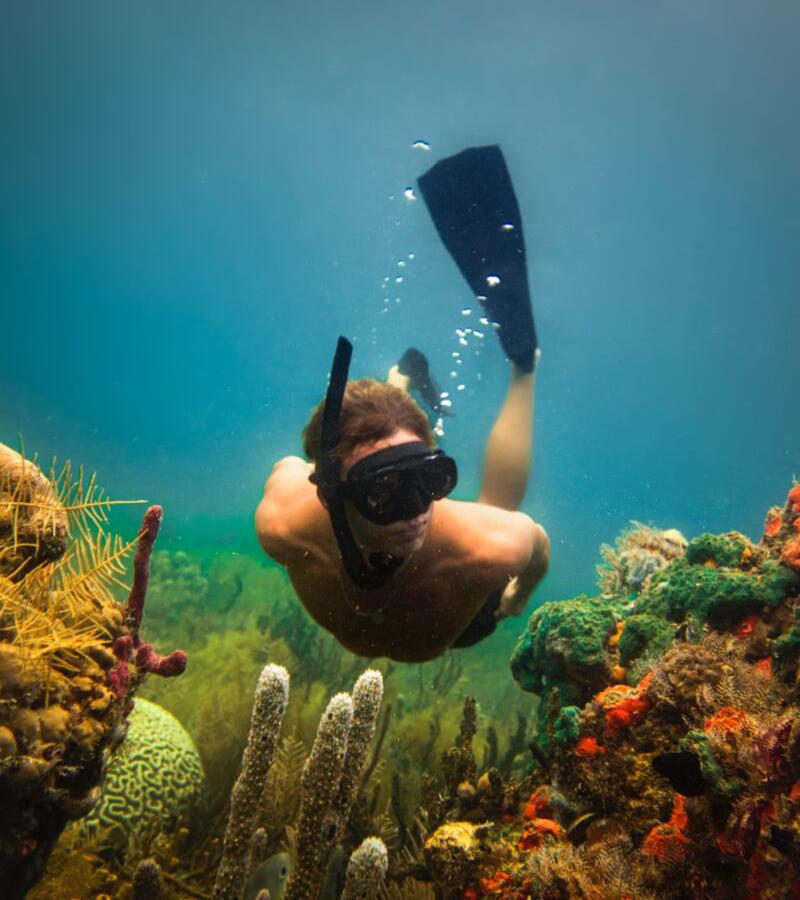 snorkeling-coral-cay-bocas-del-toro-province