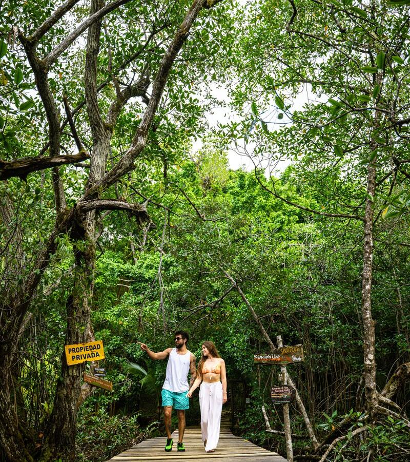 Red frog beach, Bastimentos, Bocas del Toro Province