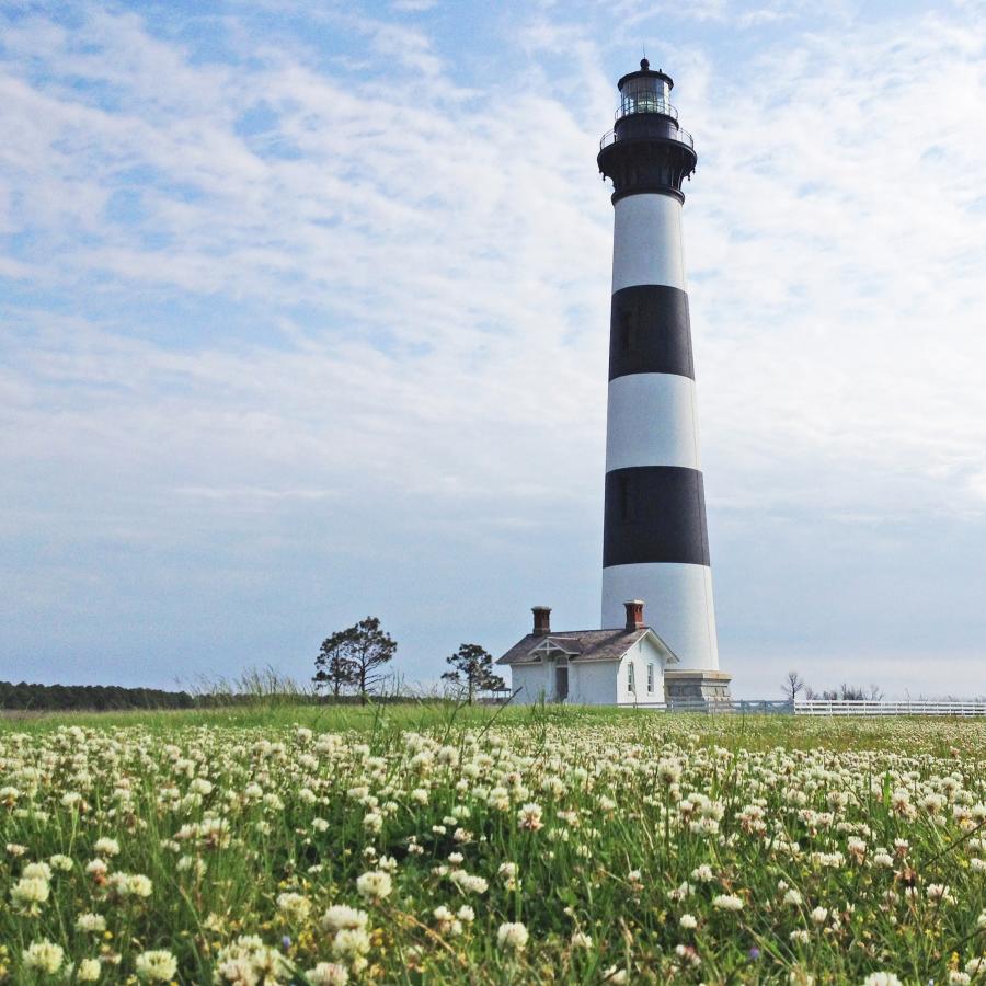 bodie - flowers