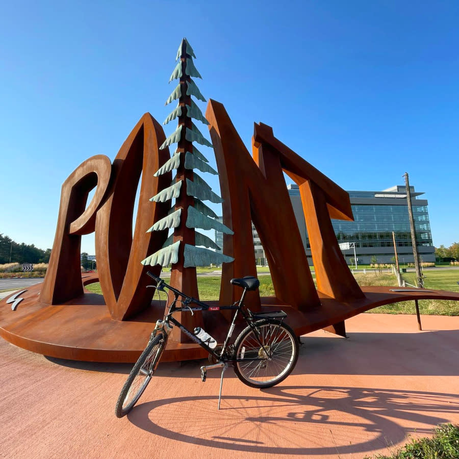 Point Sculpture Bike