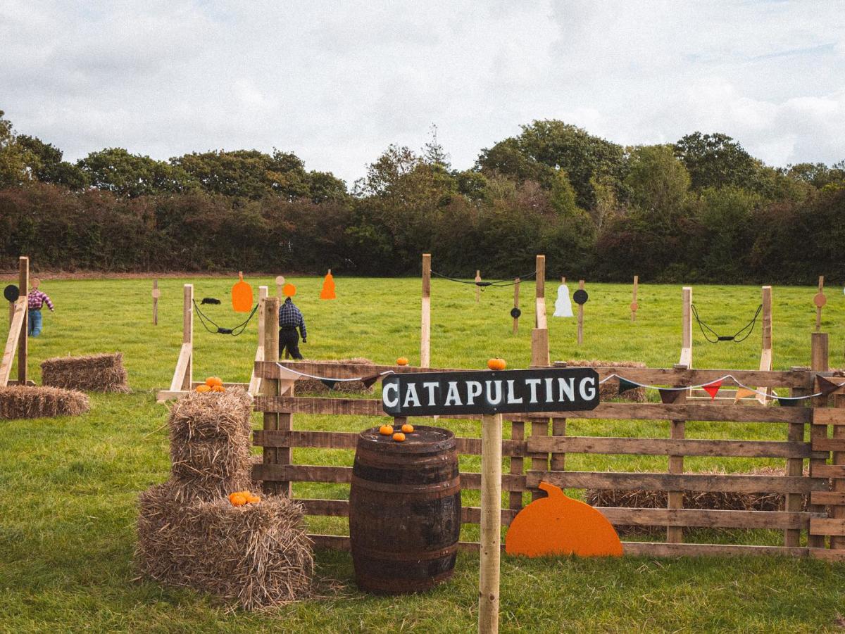 Halloween pumpkin patch