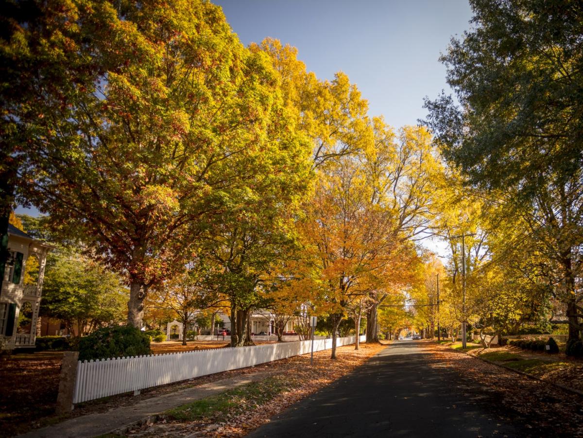 Downtown Salisbury Fall Foliage