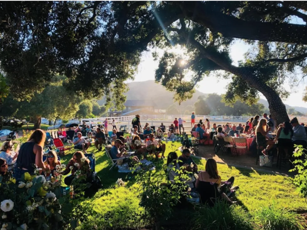 Oc Wine and Spirit Festival