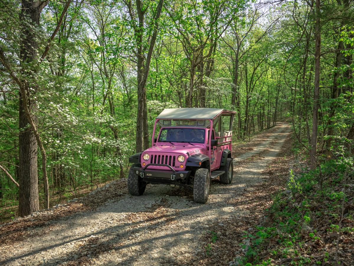 Pink Jeep Tours Spring Attraction