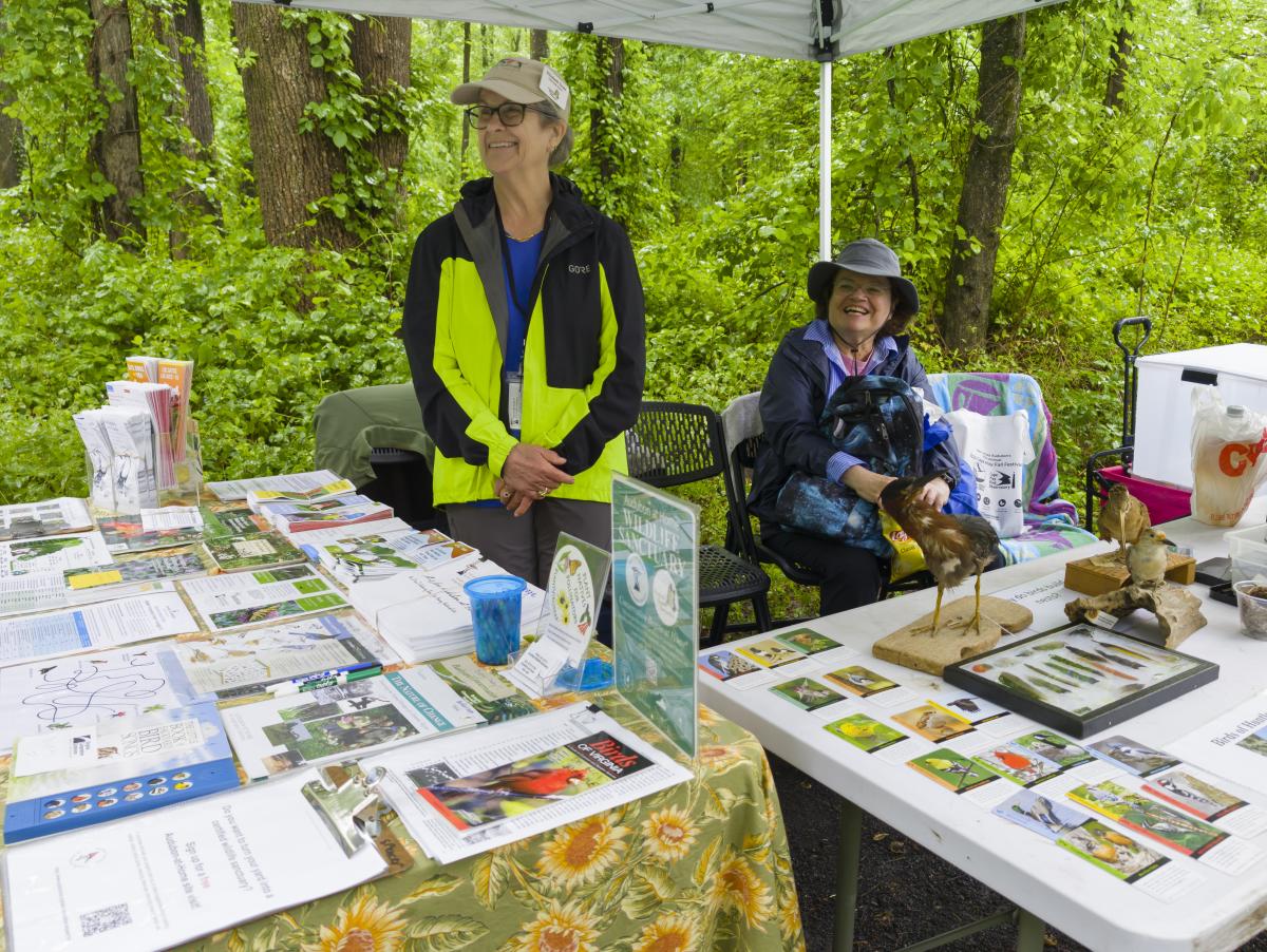 Huntley Meadows Park - Birding - Nature - Parks - Park Events
