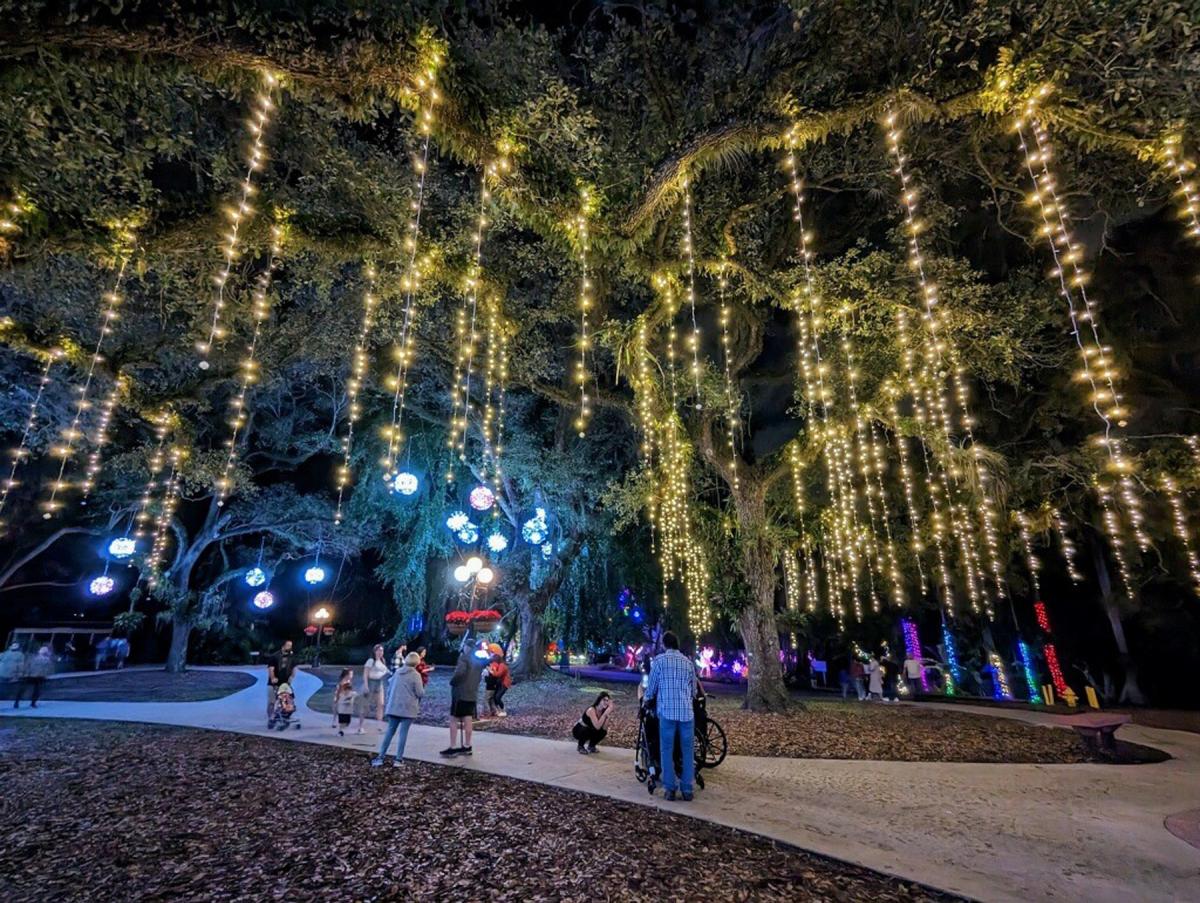 Flamingo Gardens' Garden of Light