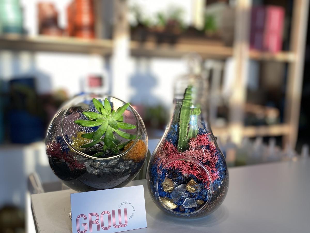 Products at GROW Plant Shop