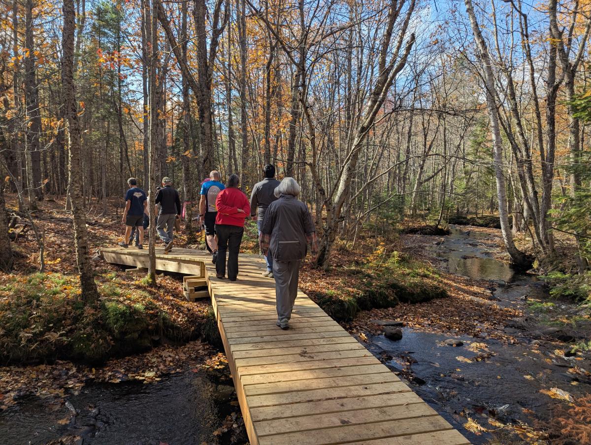 Boston Creek Nature Area Bridge