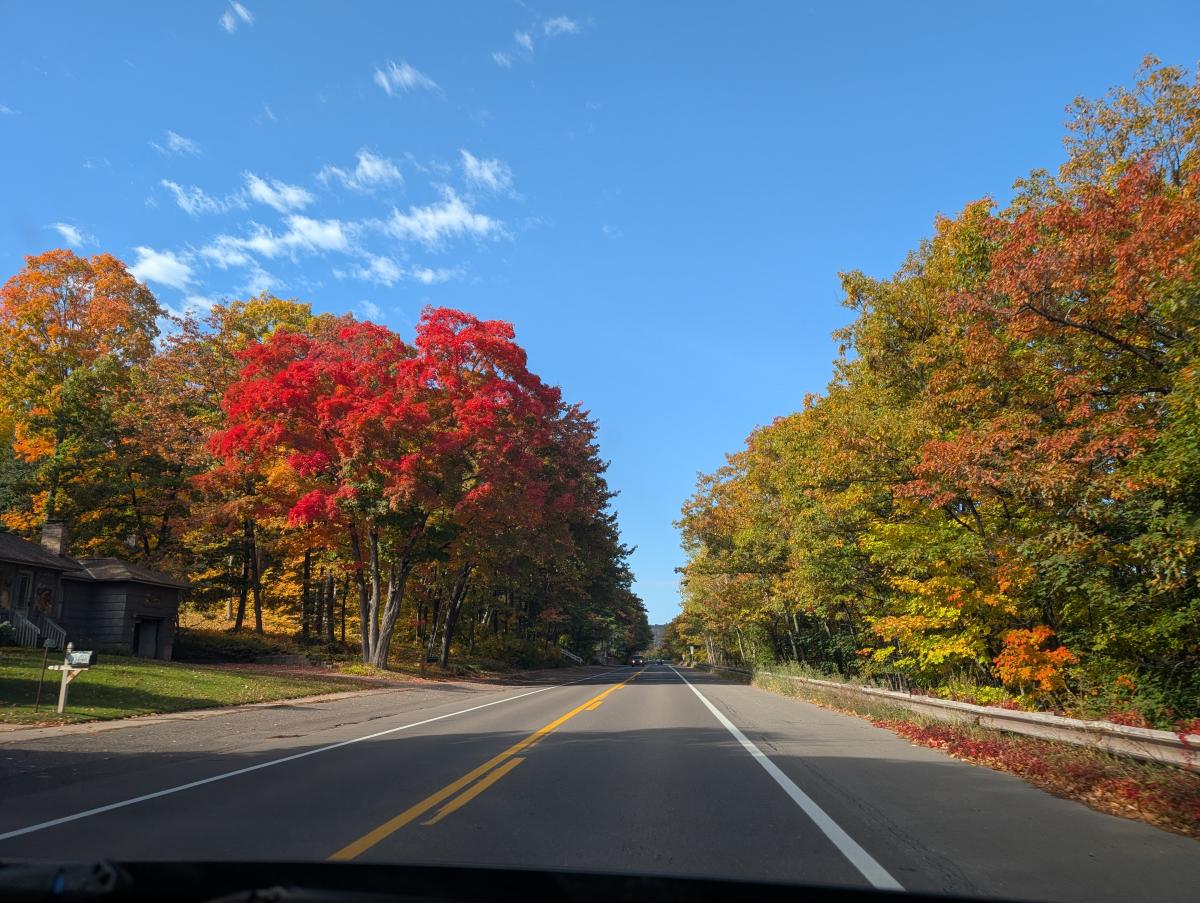 Portage Fall Color Report