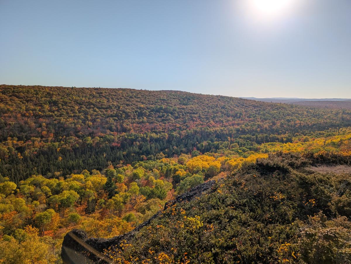 North Fall Color Report