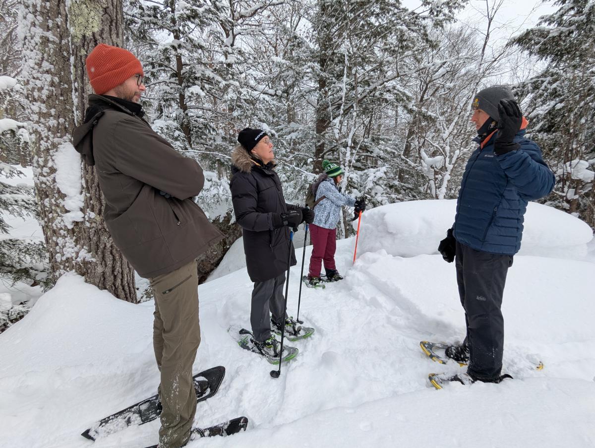 Snowventure Snowshoe