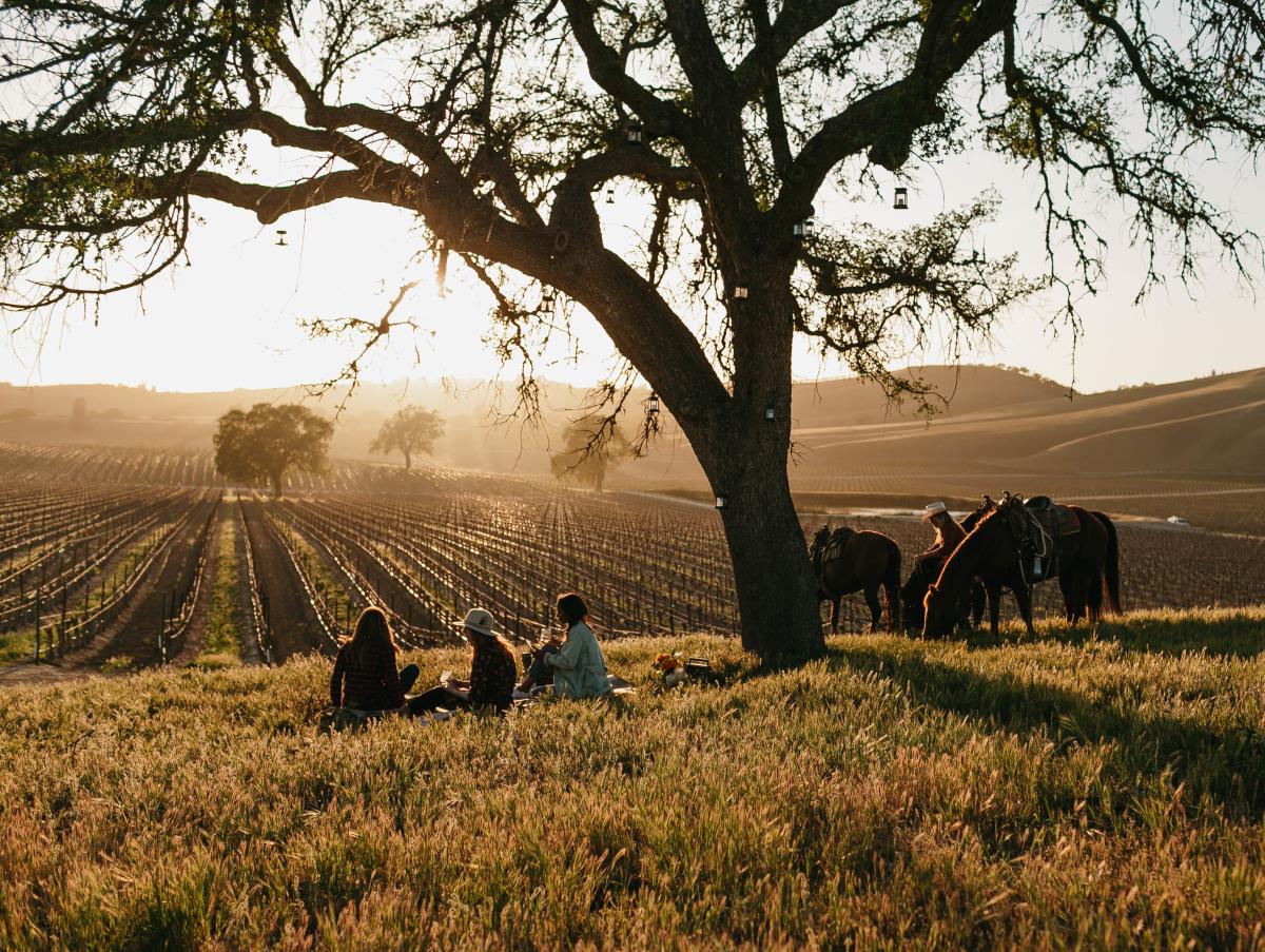 Wine Country