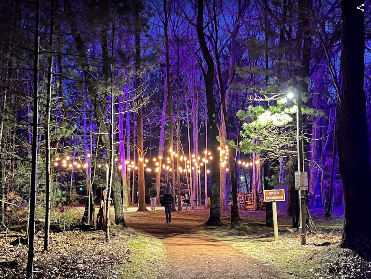 A tranquil night scene at Muskegon Luge Adventure Sports Park, featuring a pathway lined with trees illuminated by string lights and blue lights, with a person walking in the distance.