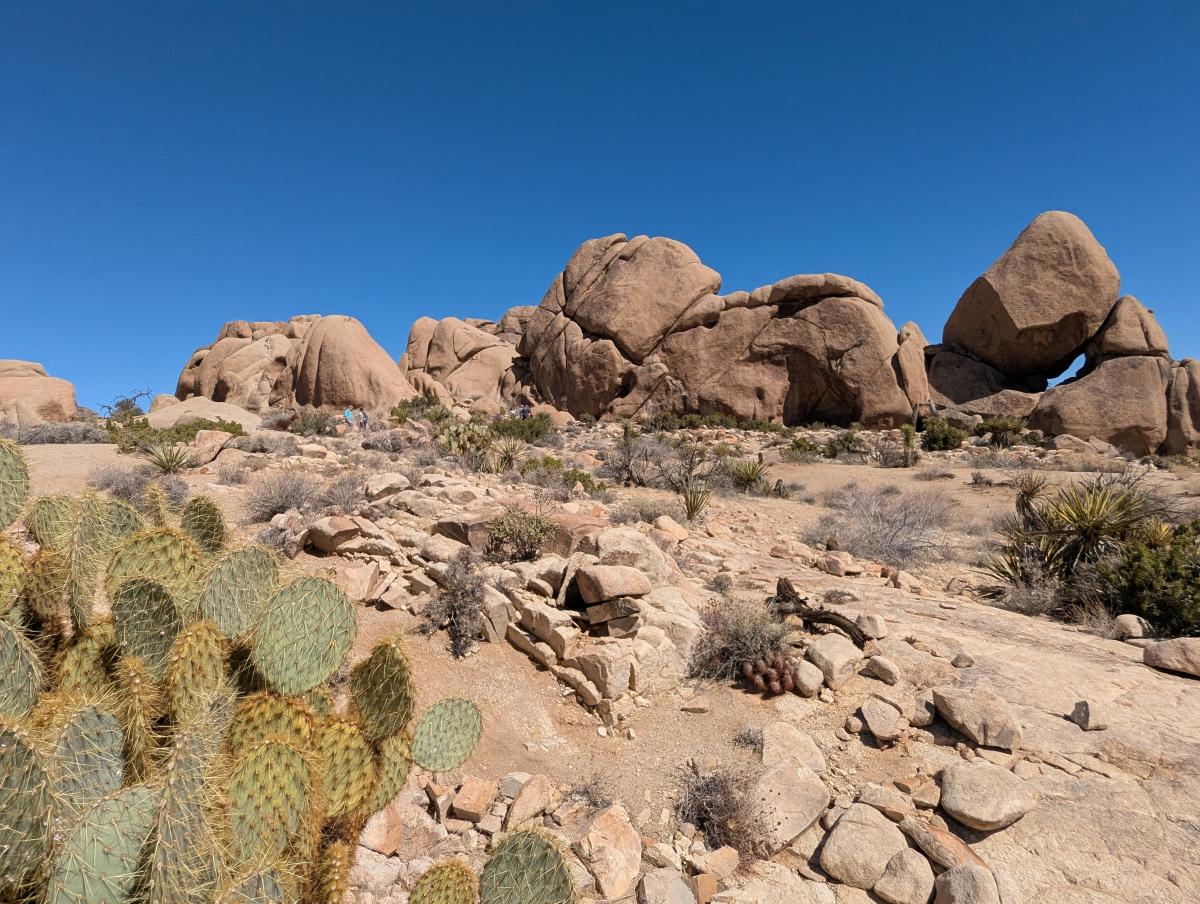 Split Rock Nature Trail Joshua Tree National Park