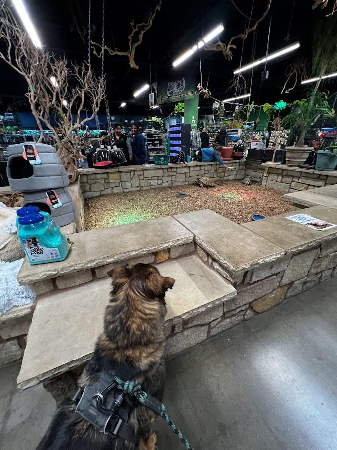 Raffi at Pet World