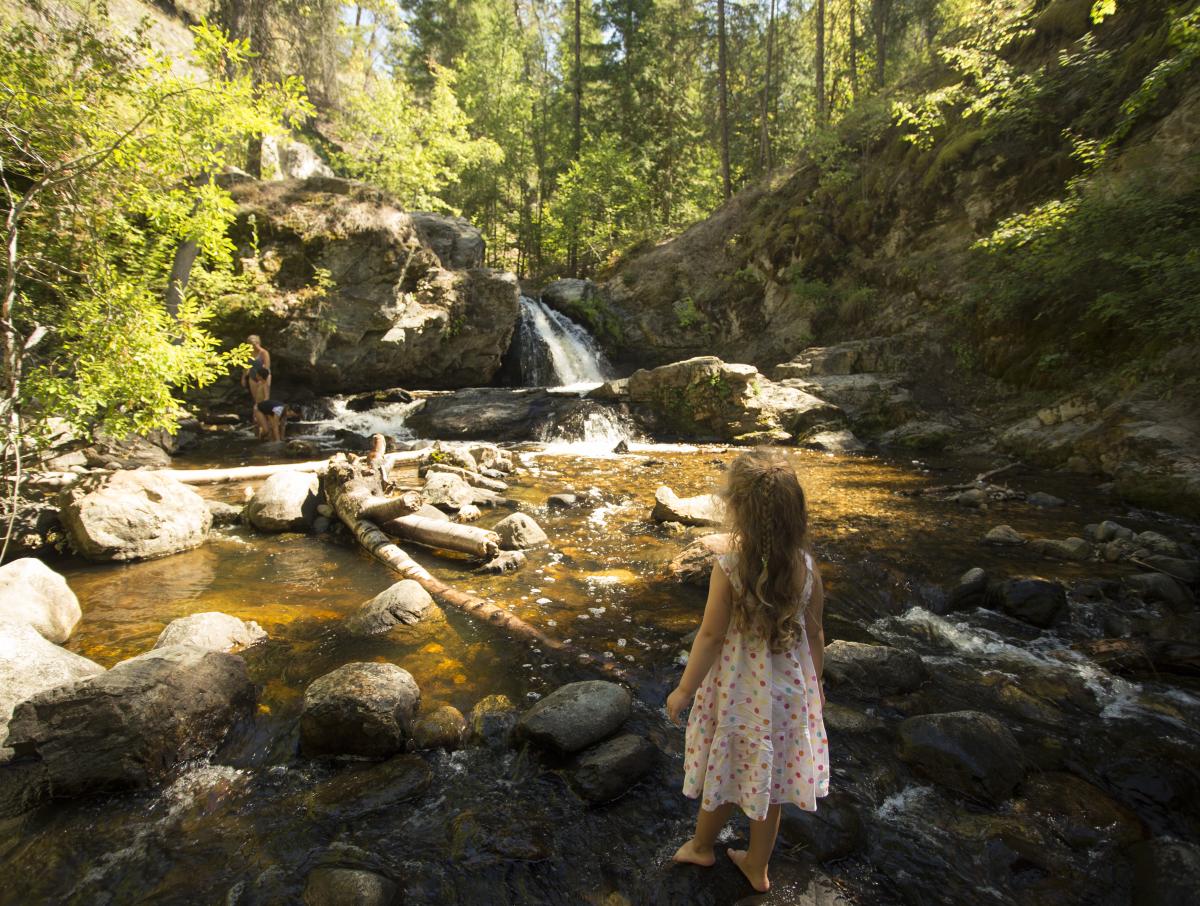 Mill Creek Regional Park Falls