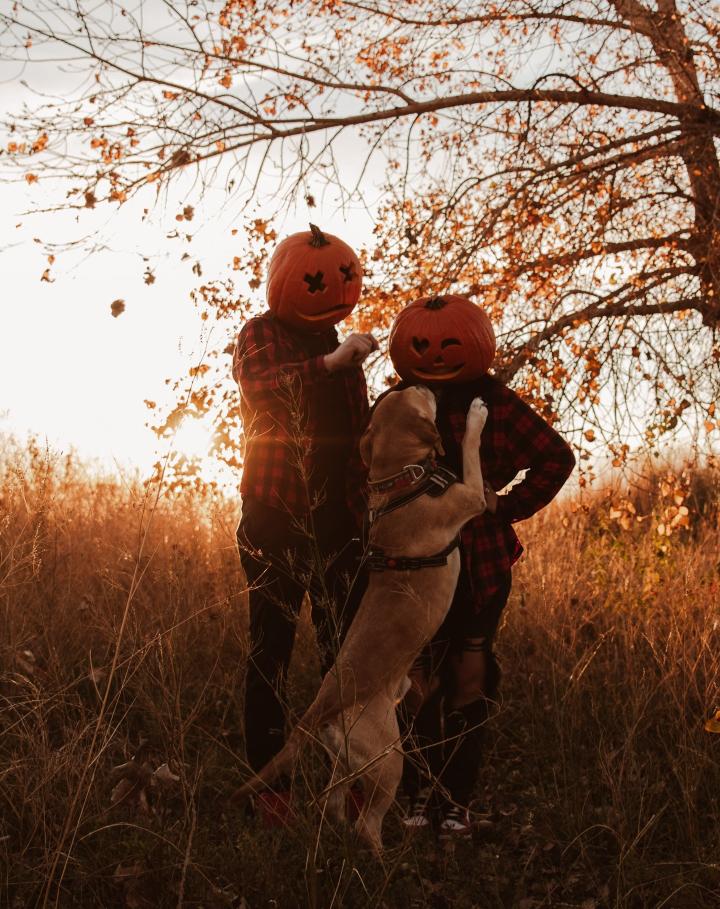 Cute Pumpkin Couple