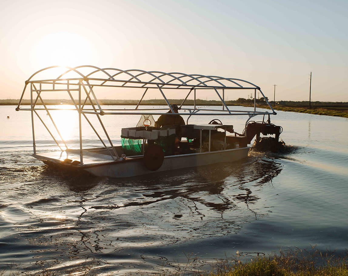 Crawfish Boat