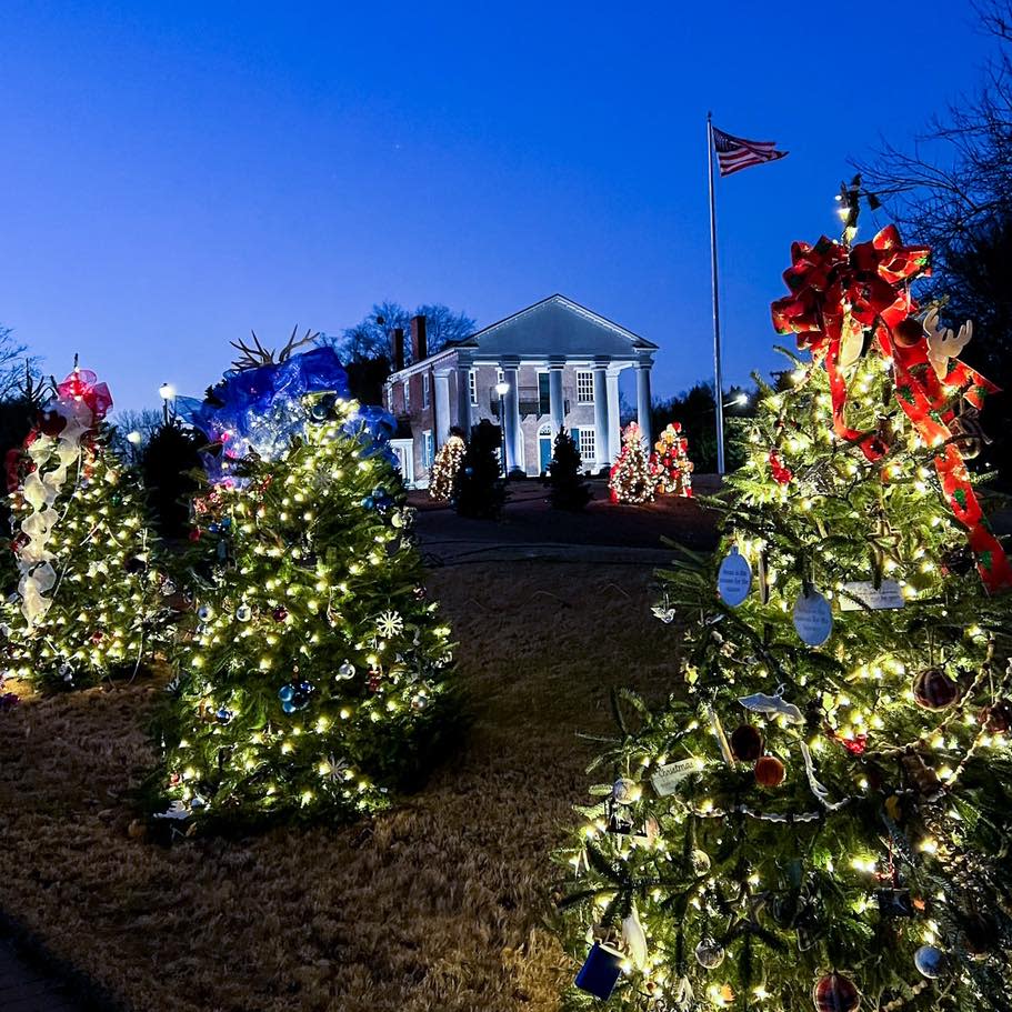 enchanted forest decatur