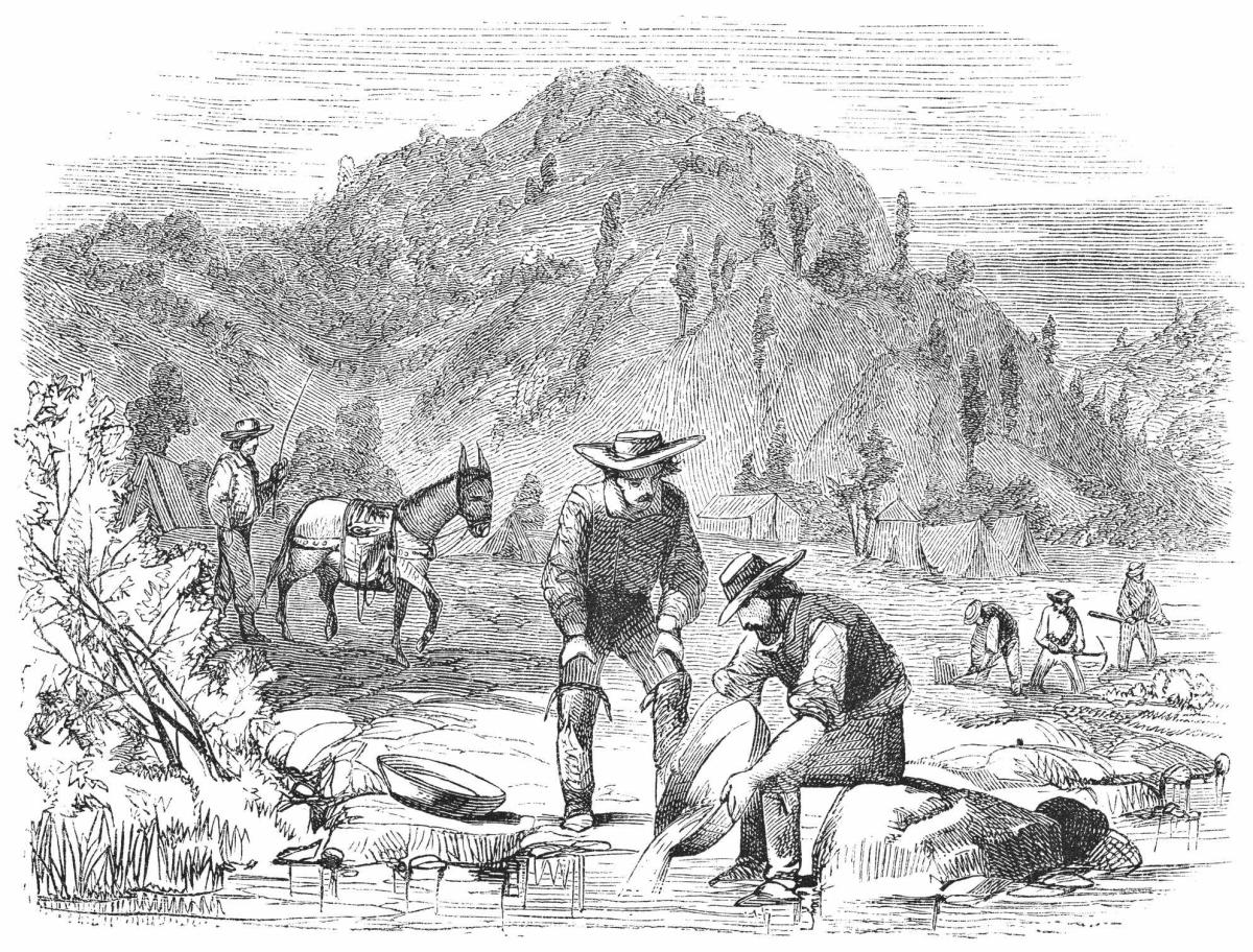 The Gold Rush