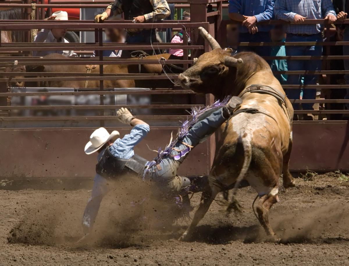 rodeo