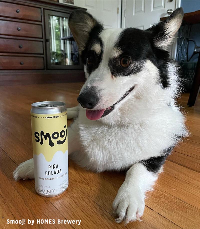 Dog with Smooj! from HOMES Brewery